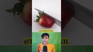 Cake Or Fake Challenge Cake Vs Fake