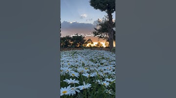 سورة النجم { ٣٩ }