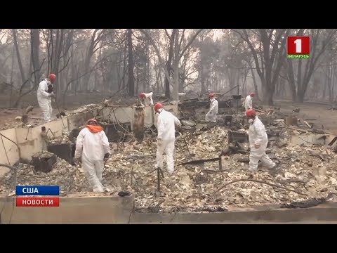 В Калифорнии растёт число жертв лесных пожаров: погибших уже 66