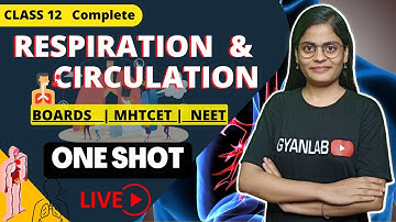 One Shot | Class 12 | Chapter  8 - Respiration & Circulation | Gyanlab | Anjali Patel