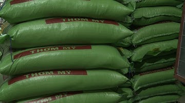 Vựa gạo Tân Hòa Cái Bè Tiền Giang tại Thực Phẩm Sao Việt