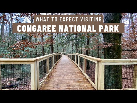 Video: Parcul Național Congaree din Carolina de Sud