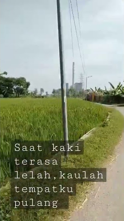 Jalan pulang bersama Boomerang