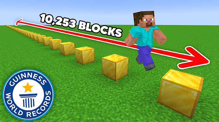 J'ai Sauté 10,253 Blocks Pour BATTRE ce RECORD DU MONDE !
