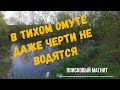 В тихом омуте даже черти не водятся. Поисковый магнит.