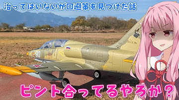 カメラのピント問題の回避策をテストする話　ラジコン飛行機