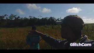 Eu e meus irmãos cortando arroz em nossas roça no Maranhão