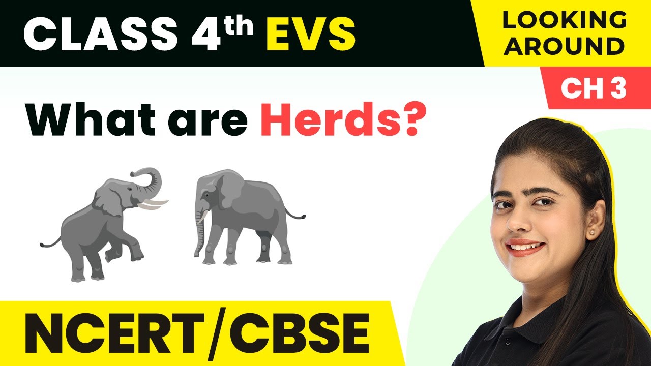 Herds - A Day With Nandu | Class 4 EVS