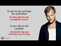 The Nights - Avicii (Lirik Lagu Terjemahan)