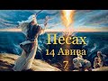 Какую Пасху праздновать?                       17-Авива 5783 г.