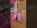 My Bird Is Dead