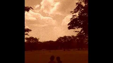 Perla the Band - Bioacoustic