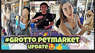 #grotto petmarket#update#lutino opaline ni boss pjhay #quality exotic long hair#chiwawa ni mam Jade🤩 by jake ajusi 2,273 views 1 month ago 45 minutes