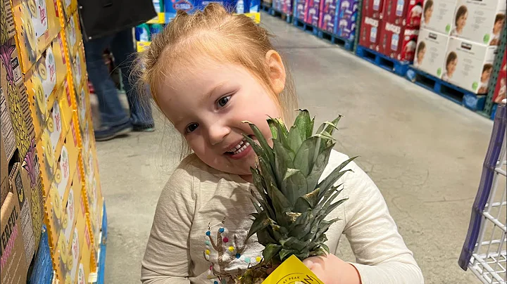 Costco Haul in Alaska | Quick Trip to Juneau on th...