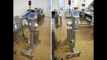 945-26: Mettler Toledo Safeline pipeline metal detector