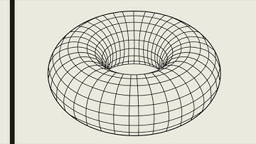 Toroidal Vortices