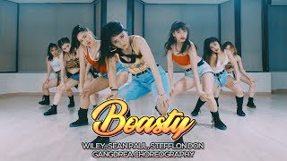 Wiley Sean Paul Stefflon Don - Boasty Gangdrea Choreography