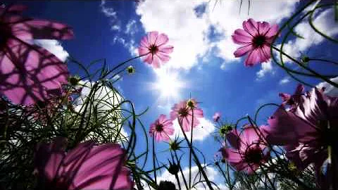 Christopher Castle - Amazing Grace Like Rain
