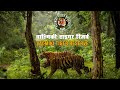 Valmiki Tiger Reserve || वाल्मिकी टाइगर रिज़र्व || Valmiki Wildlife Sanctuary