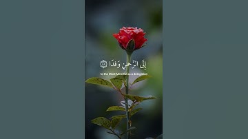 🌿 تلاوة من سورة مريم 🌿 القارئ عبد الرحمن مسعد 🌿 #quran 🌿#قرآن_كريم #تلاوة_مميزة 🌿 #عبدالرحمن_مسعد  🌿