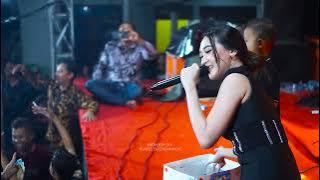 DIFARINA INDRA MANGKU PUREL - FRESS MUSIC HAPPY WEDDING VICKY & AVI | RENDIZ AUDIO