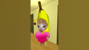 Bananacat Chooses Food #gmod 😸🍌