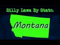 Silly Laws By State: Montana