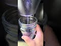 hydration + digestion