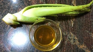 HOW TO MAKE ALOE VERA OIL IN HOME..!!!|Awsome 12 Benefits Of Aloe Vera Oil For Skin, Hair And Health