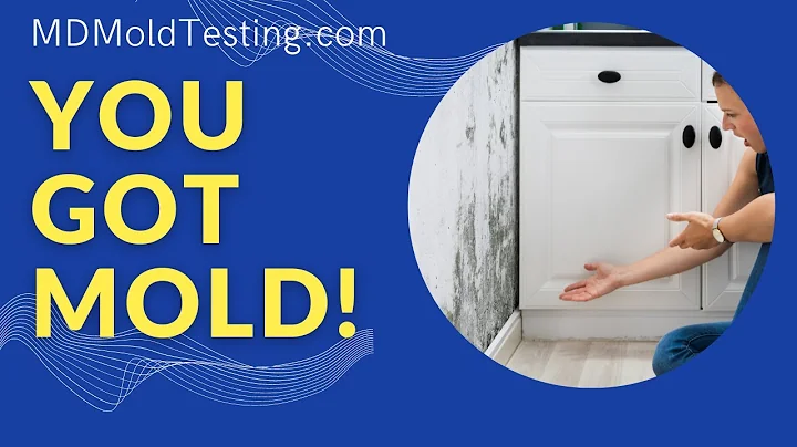 9 Signs You Have Toxic Mold In Your Home (Mold Testing Rehoboth Beach Delaware)