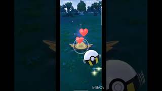 ✨️FULL ODDS Shiny Pancake From A Lure‼️✨️