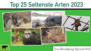 Die 25 seltensten Säugetierarten 2023 | Zoo-Rundgang Spezial #24