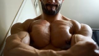 SPECTACULAR - Alpha Shredded Pecs