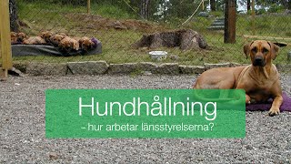Hundhållning - hur arbetar länsstyrelserna? by Svenska Kennelklubben 551 views 1 year ago 1 hour, 39 minutes