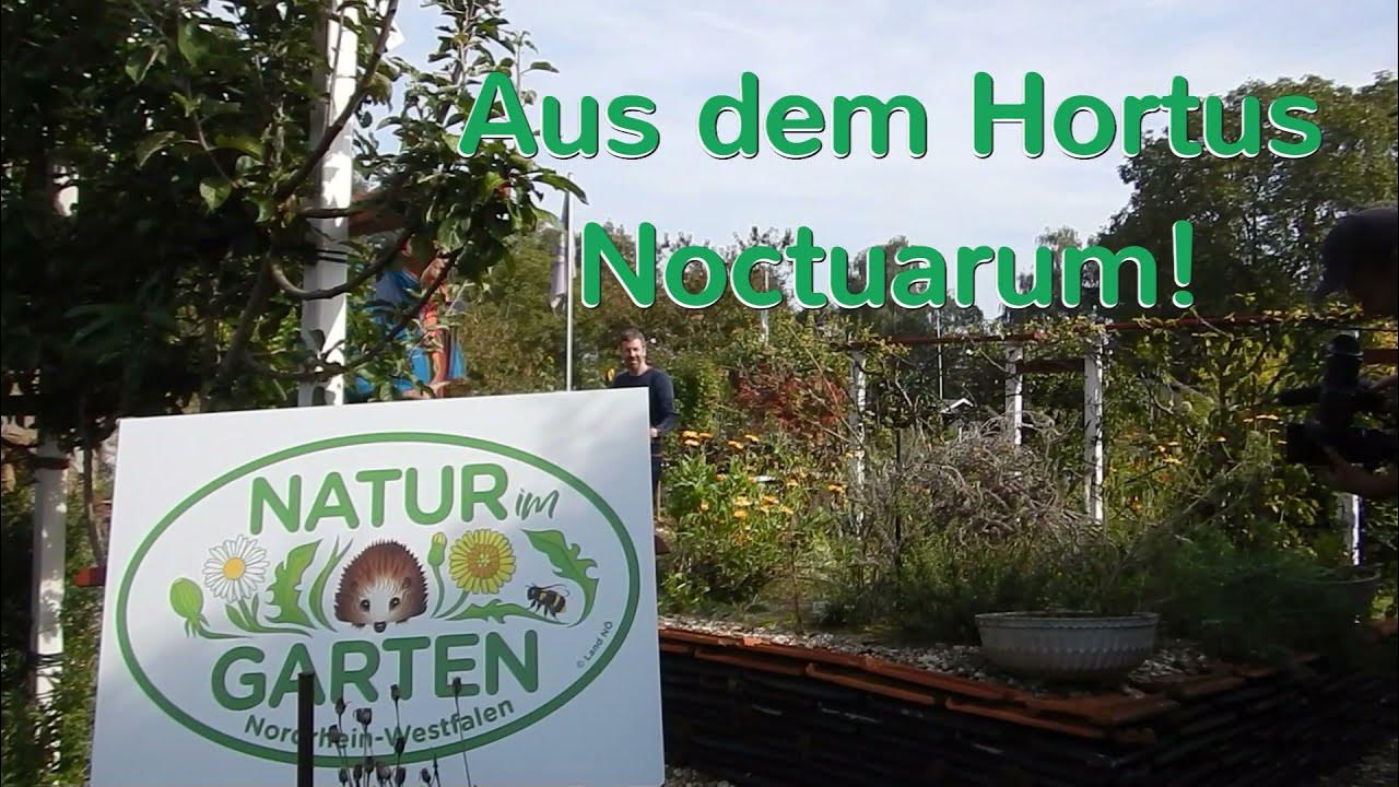Natur im Garten, Hortus Noctuarum, Der Stein, Plakette Natur im Garten