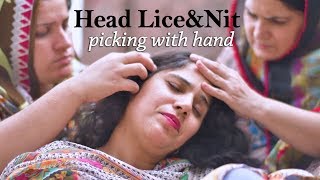 Multple Girls Head Lice Nit Picking with Hands | Free Stock Footage for Youtube Videos Multple Girls Head Lice Nit Picking with Hands | Free Stock Footage for Youtube Videos