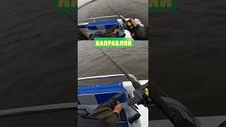 Прожжённый рыбак