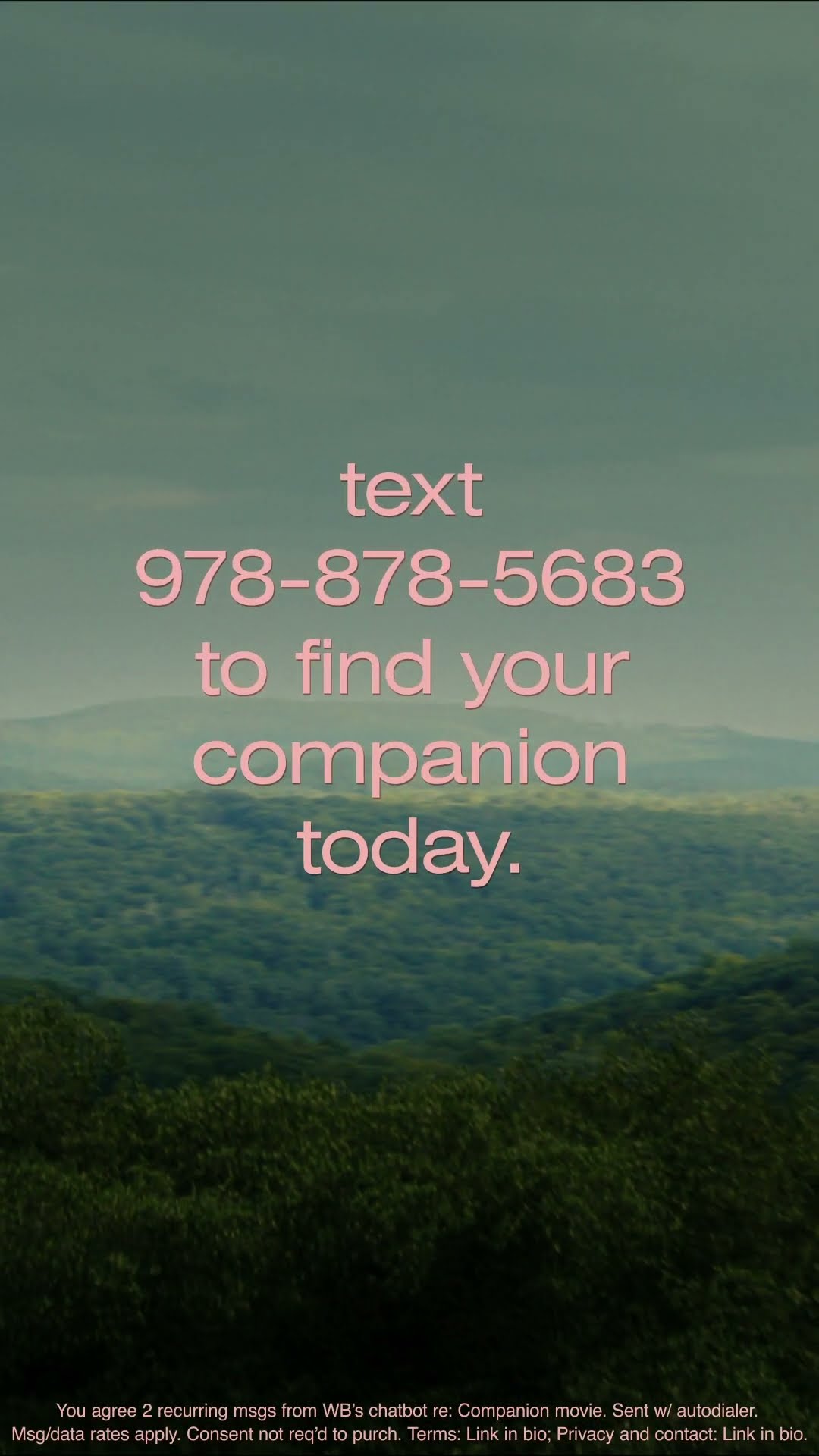 Dating is hard. #FindYourCompanion is easy. Text (978) 878-5683 to Find Your Companion today.*