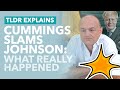 Cumming's Explosive Claims Explained: Johnson's Former Advisor Slams the Government - TLDR News