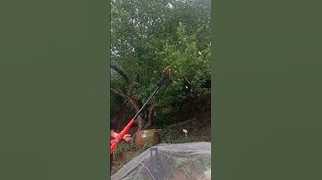 Fruit Harvesting Machine – Good Tools and Machinery Can Increase Work Efficiency