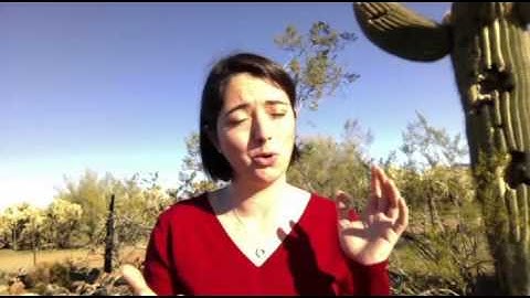 What is the Difference Between a Website and a Blog?