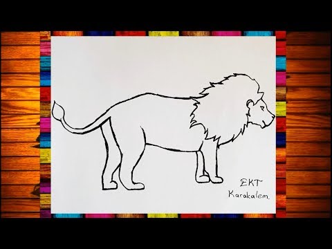 Video: Kalemle Aslan Nasıl çizilir