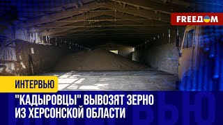 Соратники КАДЫРОВА занялись зерном из Украины. Детали от 