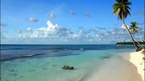 تلاوة خاشعة (قُلْ يَا عِبَادِيَ الَّذِينَ أَسْرَفُوا عَلَىٰ أَنفُسِهِمْ ) من سورة الزمر