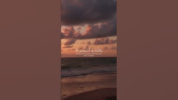 #سورة_الشعراء || الأية 217 🤍