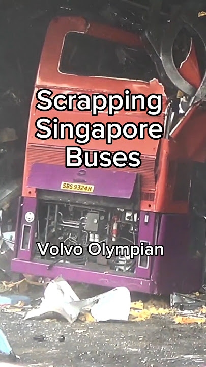Akhir Perjalanan Bus Singapura 🚍💔