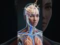 How Neurons Work ⚡|Neurons Kese Hamari Body Men Kaam Karte Hen🤔|Explain By 3d Animation🔥
