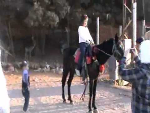 سارا ويارا و جدو معاهم نانسي عحرم