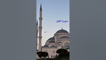 سورة الفيل بصوت مشاري العفاسي🤍