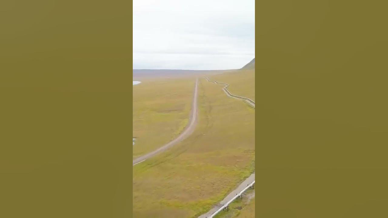 Does Alaska Really Pay You to Live There? THINGS YOU DON’T KNOW ABOUT